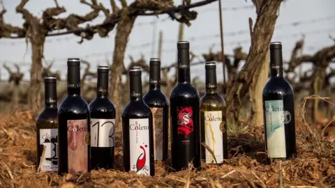 Cata de 5 vinos ecológicos y picada de productos gourmet