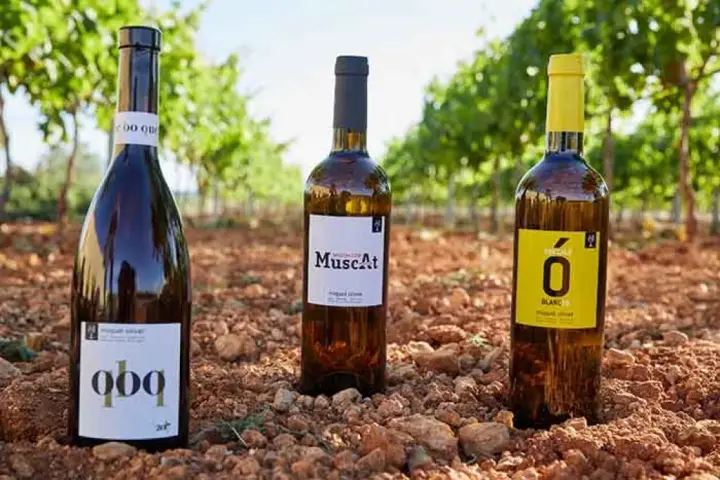 Visita guiada, tast de 5 vins i degustació de productes mallorquins