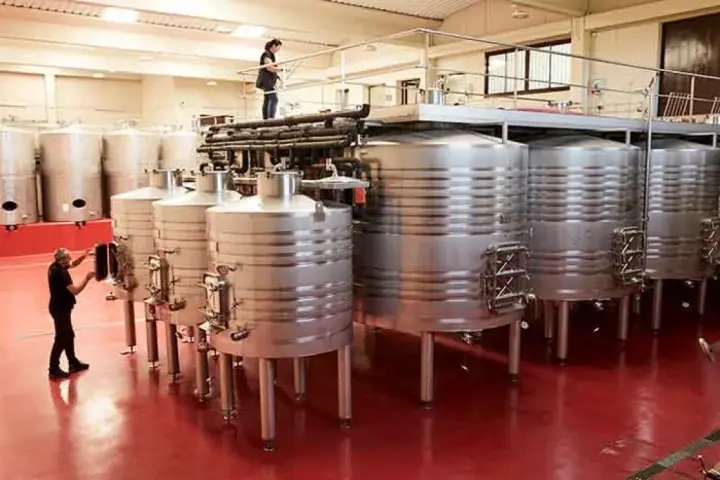 Visita guiada, tast de 5 vins i degustació de productes mallorquins