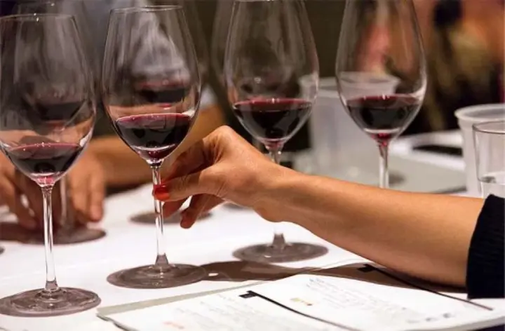 Provning av 5 mallorkinska viner hemma hos dig med en erfaren sommelier