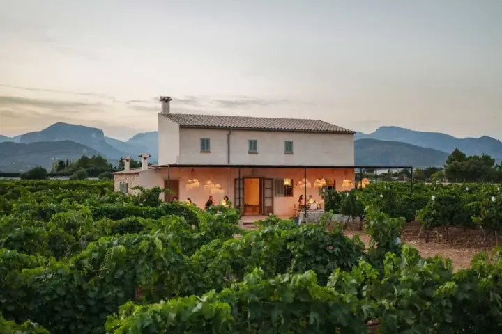 Dégustation Sa Cabana de 5 vins et pa amb oli complet au domaine viticole Sa Cabana