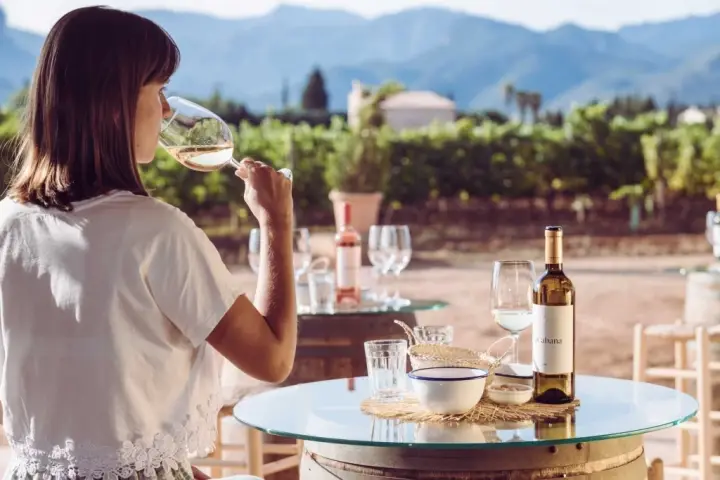 Dégustation Sa Cabana de 5 vins et pa amb oli complet au domaine viticole Sa Cabana