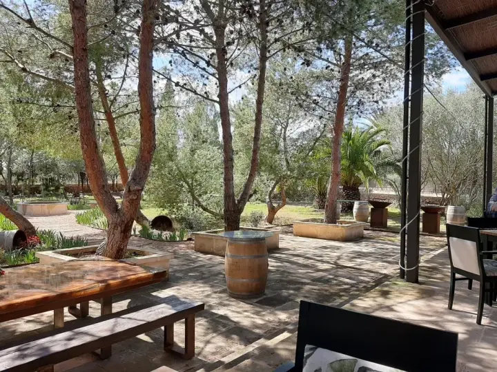 Weinverkostung von Finca Biniagual und verschiedene Tapas in der Vinoteca Biniagual