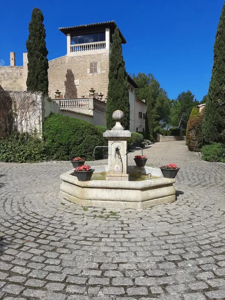 Weinverkostung von Finca Biniagual und verschiedene Tapas in der Vinoteca Biniagual