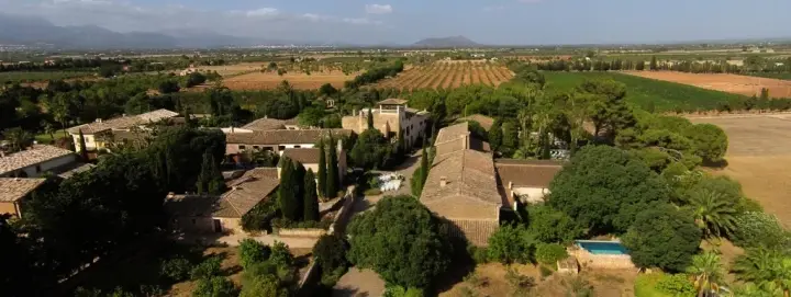 Visite du domaine viticole Biniagual et dégustation de vins avec collation à la Vinoteca Biniagual