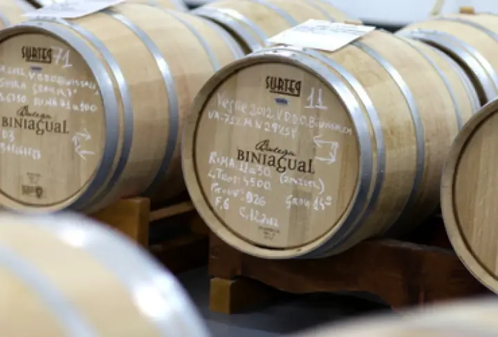 Visite du domaine viticole Biniagual et dégustation de vins avec collation à la Vinoteca Biniagual