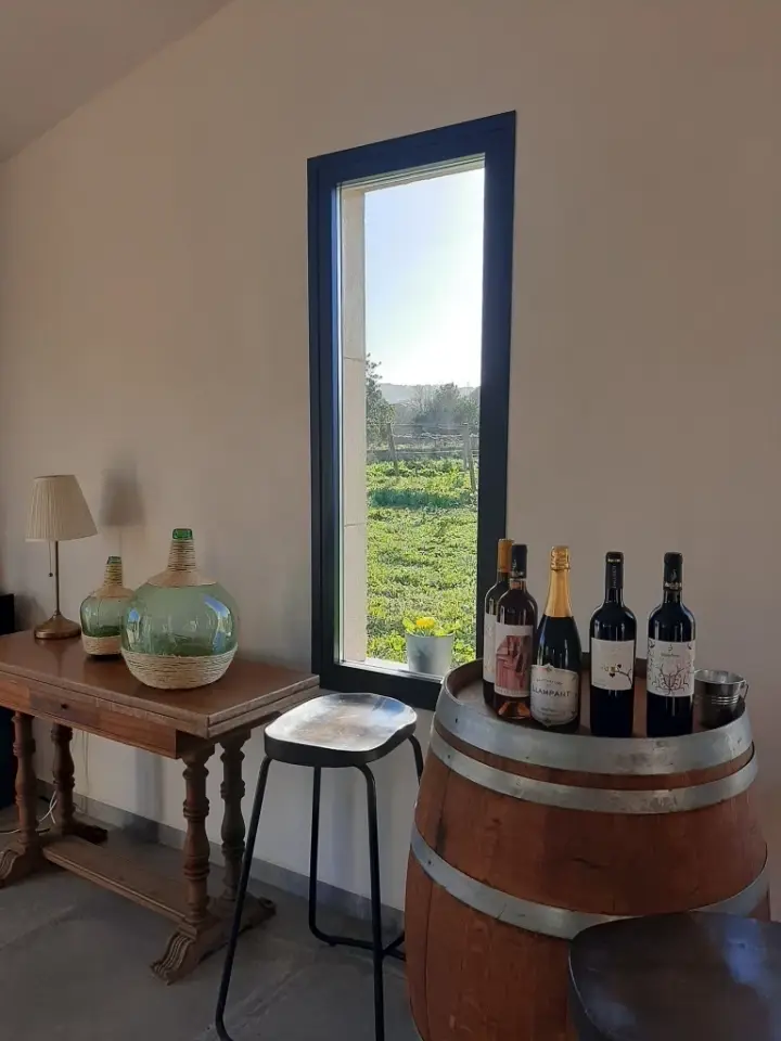 Guided visit to the cellar Sebastià Pastor, tasting of 4 wines and pa amb oli