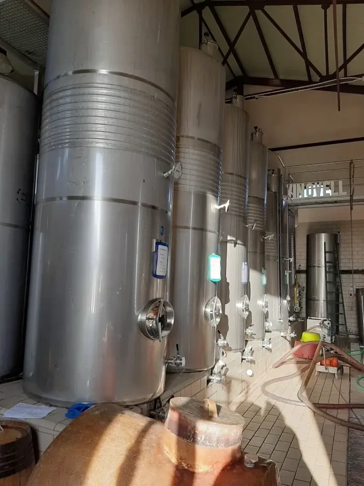Visita guiada al celler Sebastià Pastor, tast de 4 vins i pa amb oli