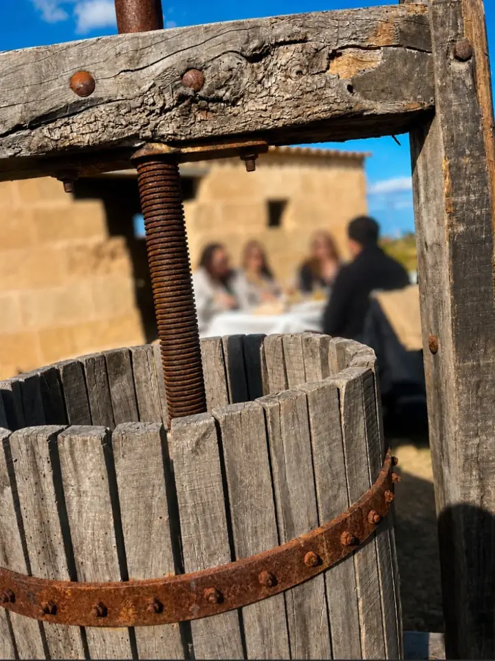 Visite guidée et dégustation de vins avec une collation à base de produits majorquins au domaine viticole Can Morgan