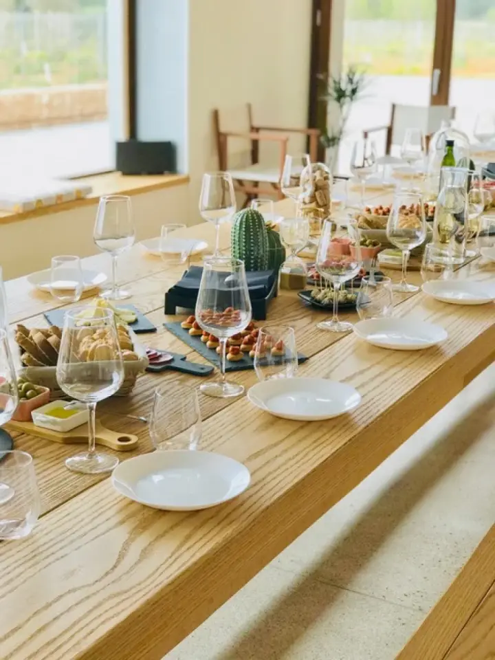 Guided tour and tasting of 5 wines and tapas launch