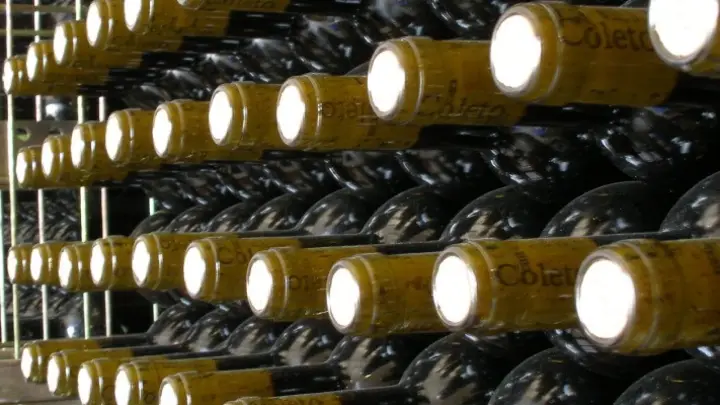 Vins Can Coleto