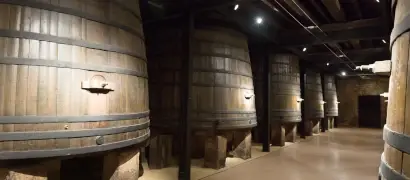 Visitas a bodegas