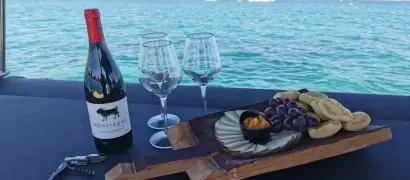 Vino en el mar