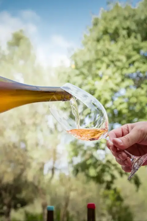 Visita guiada al Microceller Son Crespí con cata de 3 vinos y picada