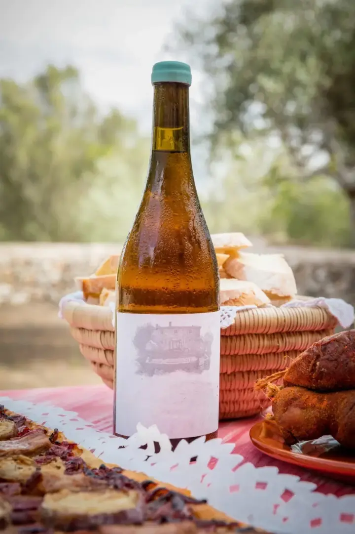 Visita guiada al Microceller Son Crespí con cata de 3 vinos y picada