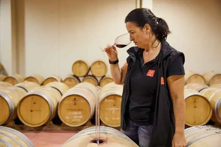 Visita guiada, cata de 5 vinos y degustación de productos mallorquines
