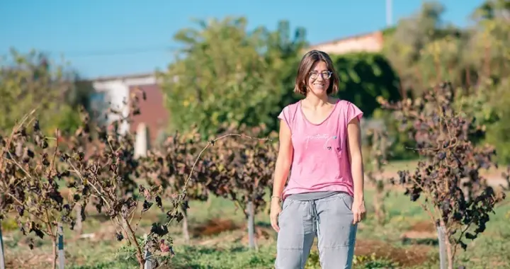 Cata de 3 vinos y surtido de quesos en la bodega Mesquida Mora
