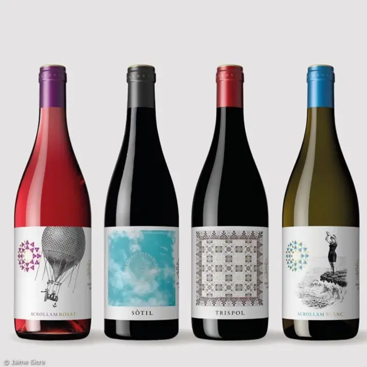Visita a las viñas, cata de 3 vinos y merienda de productos locales en Es Molí de Son Porquer