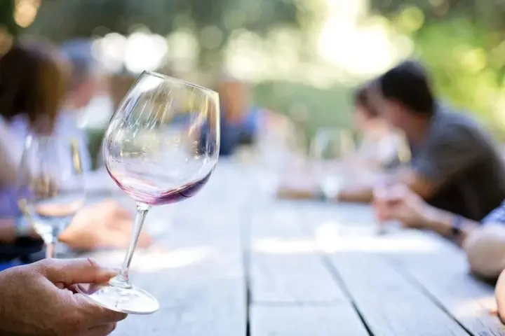 Curso de degustación de vinos a domicilio con sommeliere experimentada
