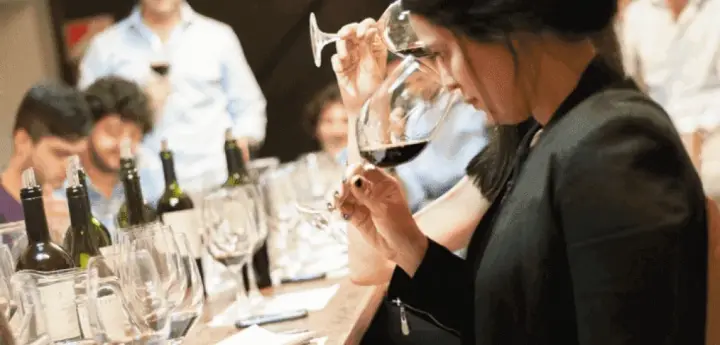 Curso de degustación de vinos a domicilio con sommeliere experimentada