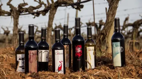 Cata de 5 vinos ecológicos y picada de productos gourmet