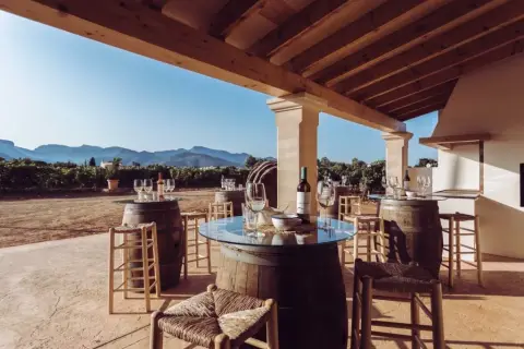 Cata Sa Cabana de 5 vinos y pa amb oli completo en Bodega Sa Cabana