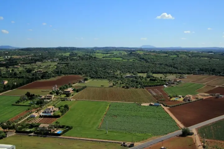Visita guiada y cata de 4 vinos acompañado de picada de productos locales