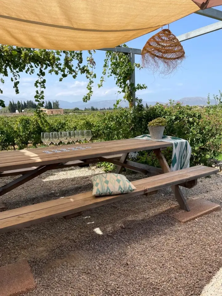 Visita guiada y cata de 4 vinos acompañado de picada de productos locales