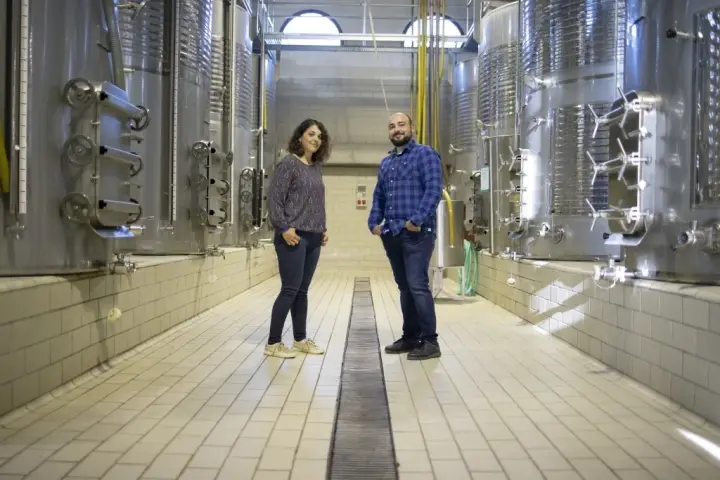 Visita guiada al celler Sebastià Pastor, cata de 4 vinos y picada de productos mallorquines