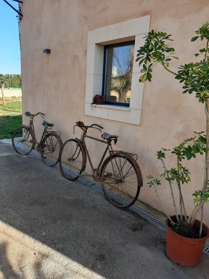 Visita guiada al celler Sebastià Pastor, cata de 4 vinos y pa amb oli