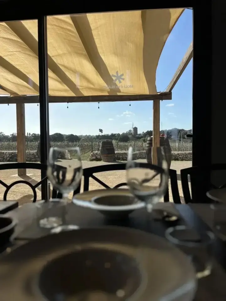 Visita guiada y cata de vinos con picada de productos mallorquines