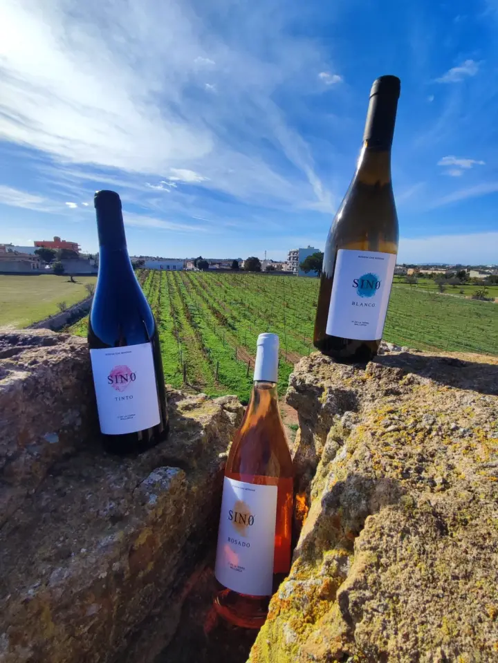 Visita guiada y cata de vinos con picada de productos mallorquines en Bodega Can Morgan