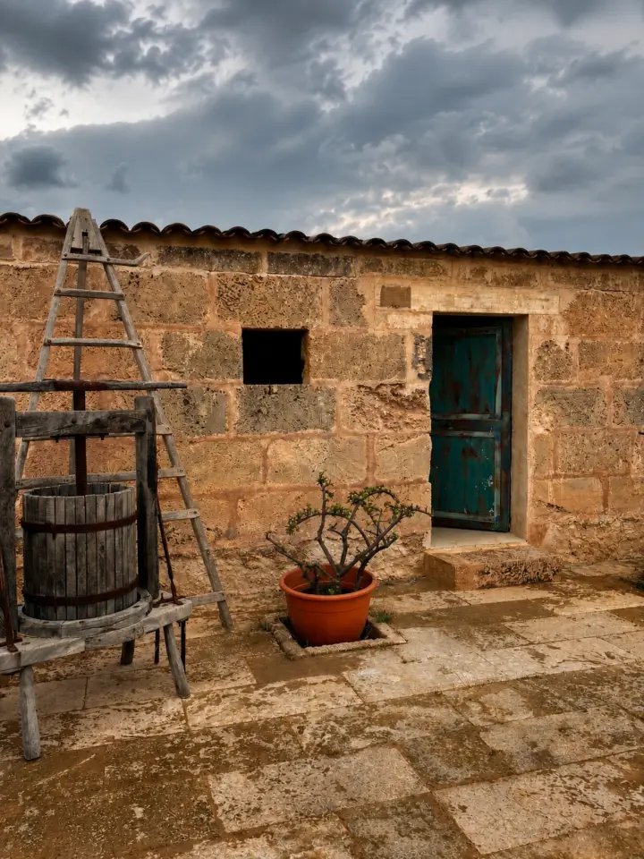 Visita guiada y cata de vinos con picada de productos mallorquines en Bodega Can Morgan