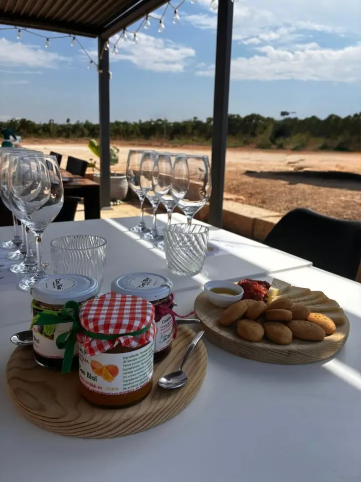 Visita guiada y cata de vinos con picada de productos mallorquines en Bodega Can Morgan