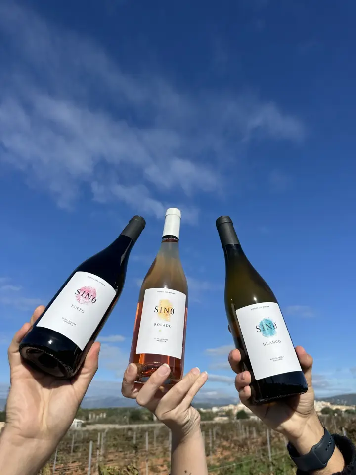 Cata de 4 vinos con pa amb oli mallorquín y visita guiada en la Bodega Can Morgan