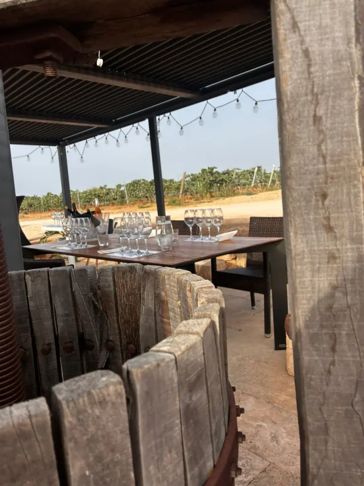 Cata de 4 vinos con pa amb oli mallorquín y visita guiada en la Bodega Can Morgan
