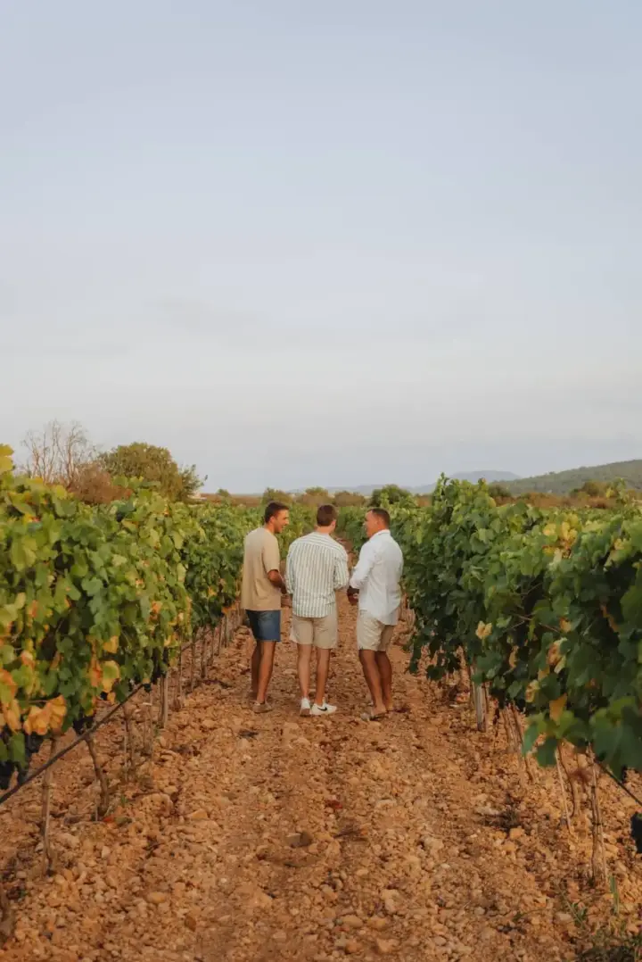 Visita guiada a Bodegues Vidal Serra con cata de 4 vinos y picada