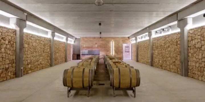 Visita guiada y cata de 5 vinos con comida de tapas variadas