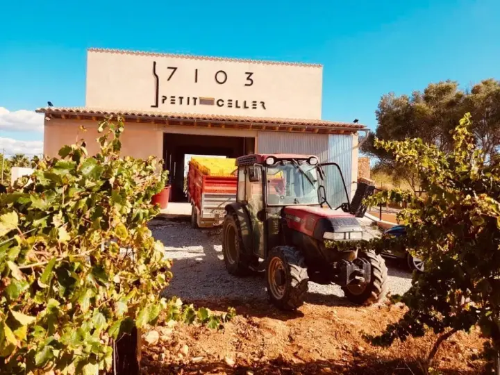7103 Petit Celler