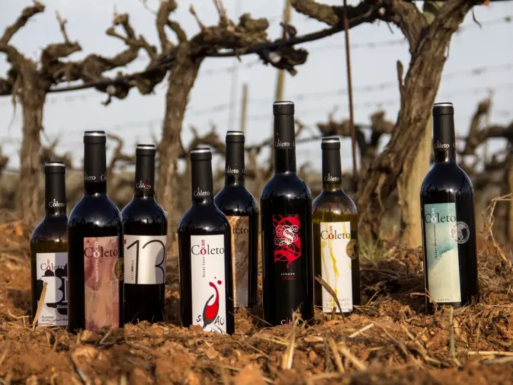 Vins Can Coleto