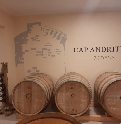 Cata de 5 vinos y picada en Bodega Cap Andritxol