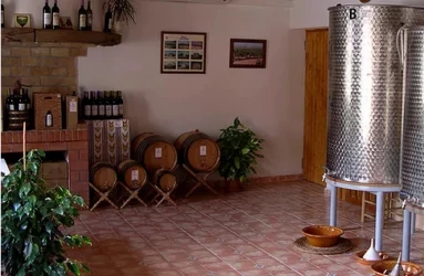 Cata de 3 vinos y canapés en Vinya Taujana