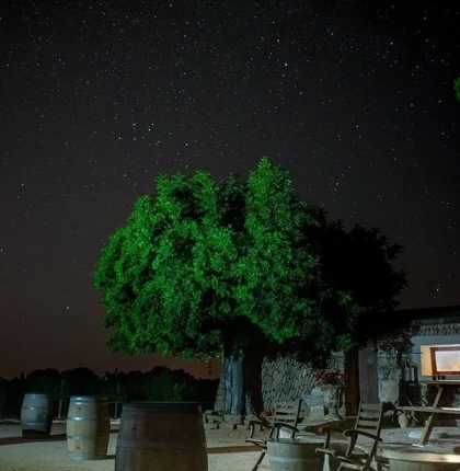 Wine tasting and star observation in Bodegas Bordoy