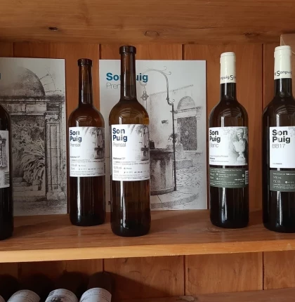 Visita corta y degustación de un vino en Son Puig