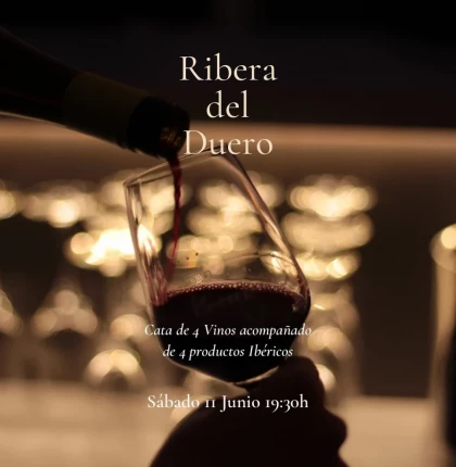 Cata de 4 vinos de Ribera del Duero acompañados de productos ibéricos en Winemercat
