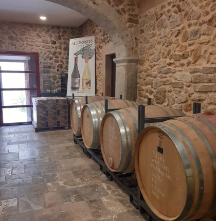 Cata de 5 vinos y picada de productos mallorquines en Vins Ripoll